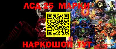 винт Шахты