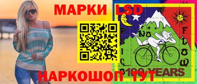 винт Шахты