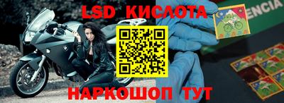 молекула духа Шебекино