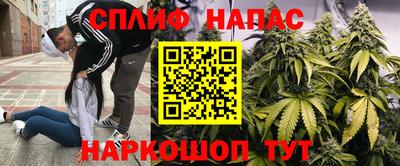 гашишное масло Шелехов