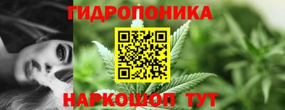 молекула духа Шебекино