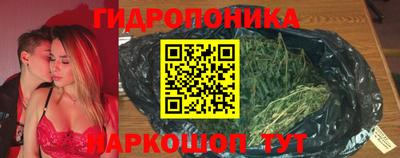 винт Шахты