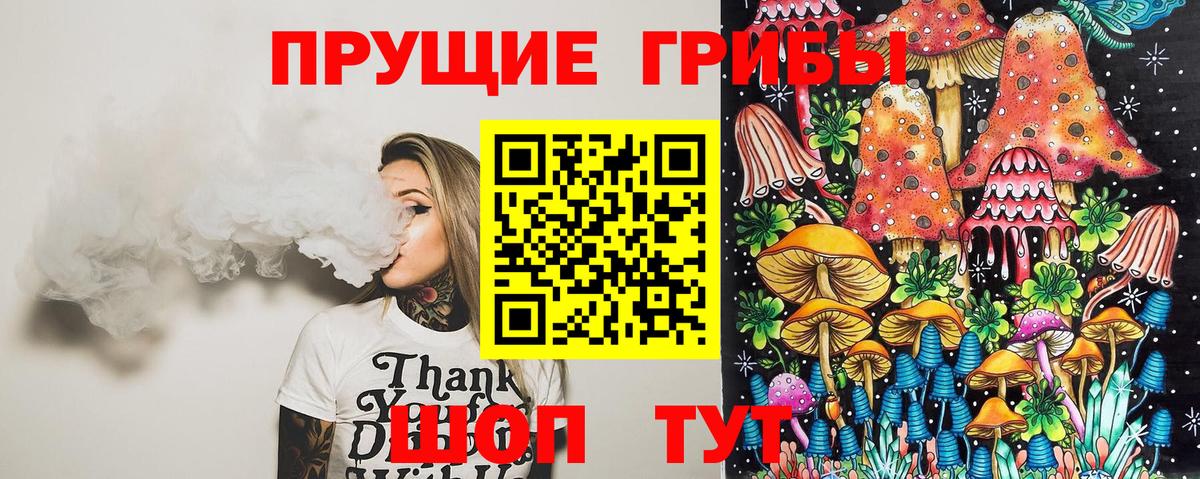 Галлюциногенные грибы Psilocybe Кропоткин