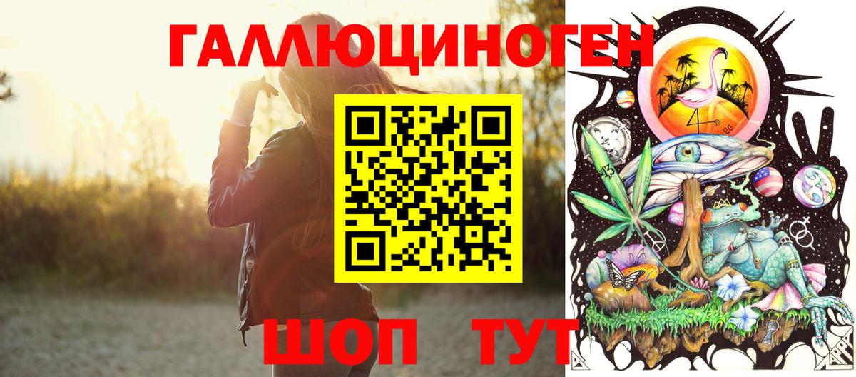 Кропоткин  Псилоцибиновые грибы прущие грибы  Вход с VPN 